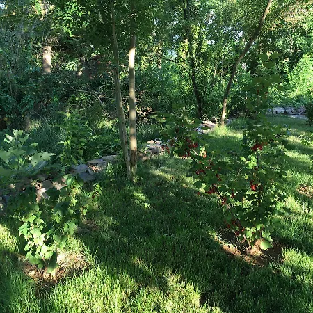 게스트하우스 Sadhana Yoga Retreat Centre Vindornyalak