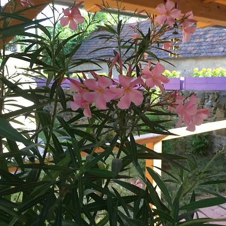 Sadhana Yoga Retreat Centre Guest house Vindornyalak